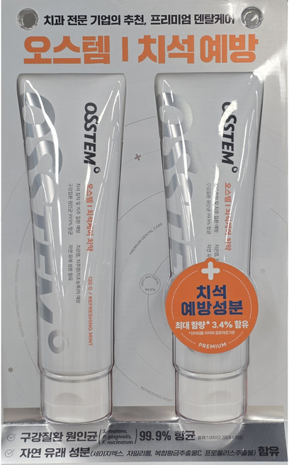 오스템 치석케어 치약 120g, 2개