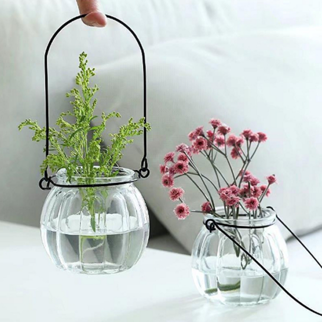 제이브 수경식물 수경재배 호박 유리화병, 3개