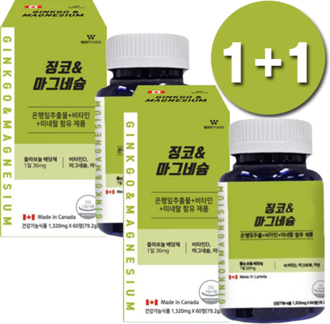 [1+1] 캐나다 완제품 직수입 징코마그네슘 1320mg x 60정 * 2개, 2박스