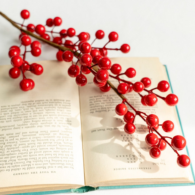 망개나무 겨울 조화 레드베리 가지 빨간열매 크리스마스 연산홍 행잉 소재 인테리어 소품 장식, 1개