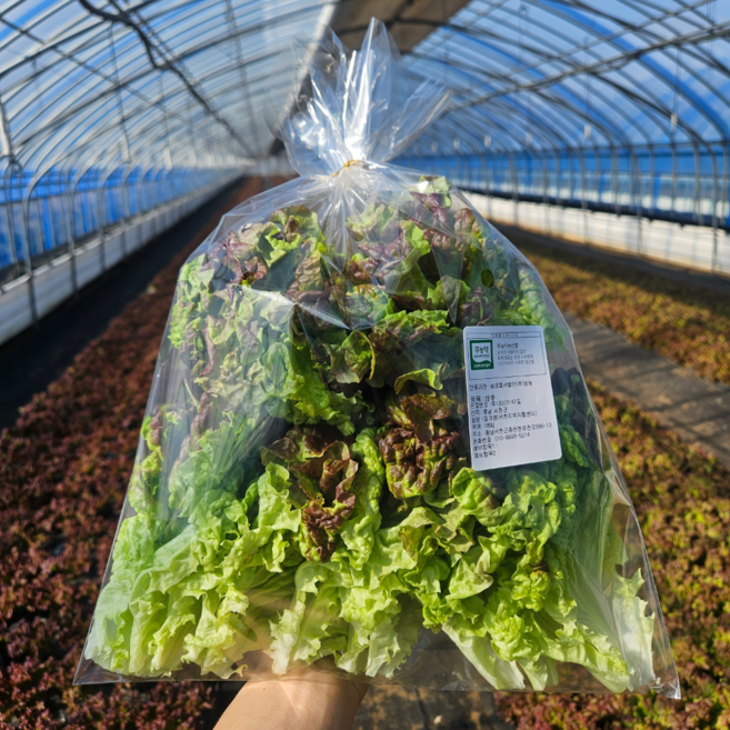 파머슬 친환경 무농약 적상추 산지직송 500g 1kg 4kg