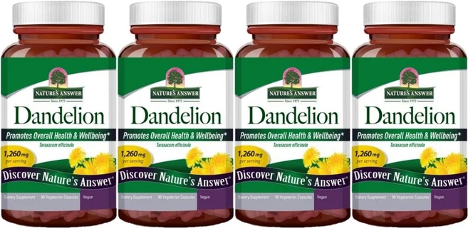 네이처스앤서 민들레 1260mg, 4개, 90정 - 쿠팡