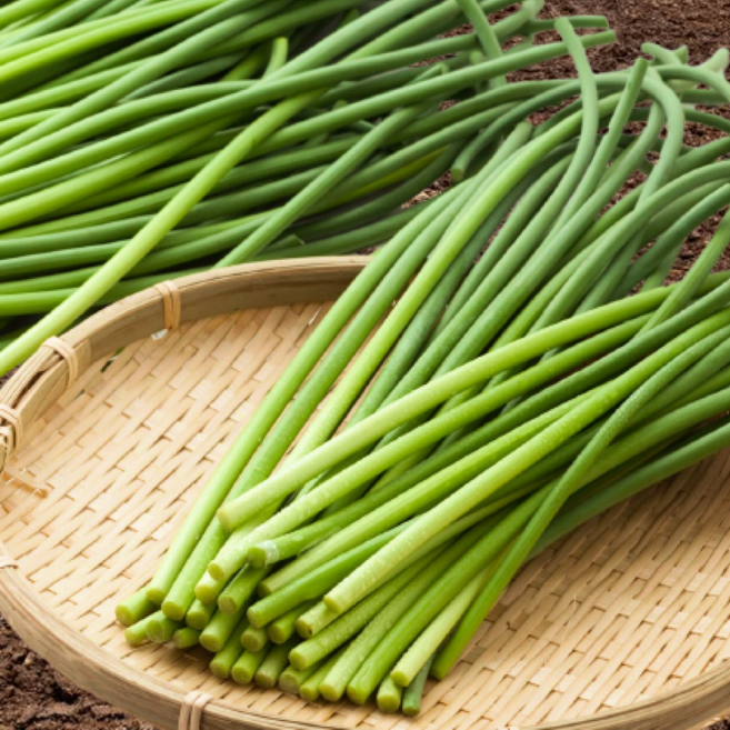 [100박스한정] 아삭달큰 남해보물섬 국산 햇마늘쫑, 1박스, 1kg