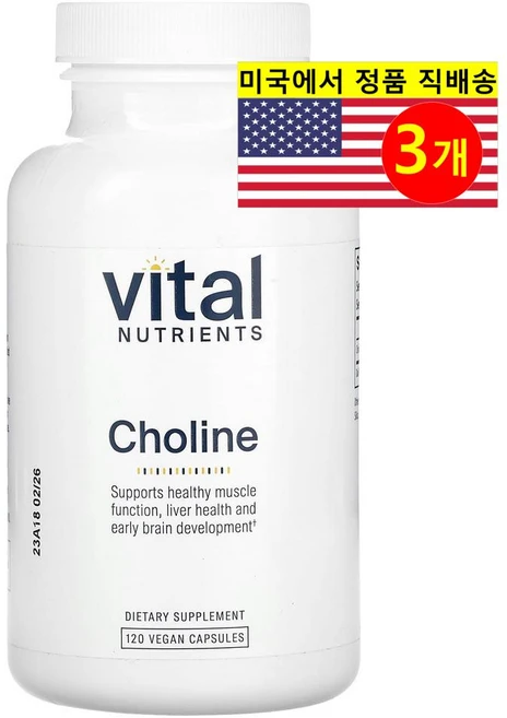 ProHealth Longevity 콜린 550mg 보충제 Choline, 3개, 120정 - 쿠팡