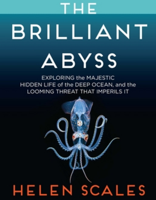 (영문도서) The Brilliant Abyss: Exploring the Majestic Hidden Life of the Deep Ocean and the Looming Th... Paperback, Atlantic Monthly Press, English, 9780802158239
