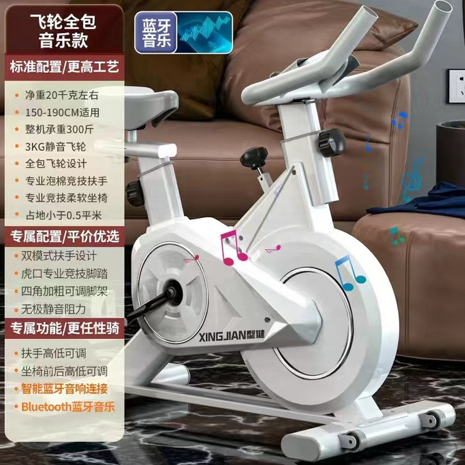 飛輪健身車 磁控飛輪單車 動感室內腳踏車, 豪華款白/藍牙音樂/全包飛輪/靜音, 白/藍牙音樂/全包飛輪/靜音