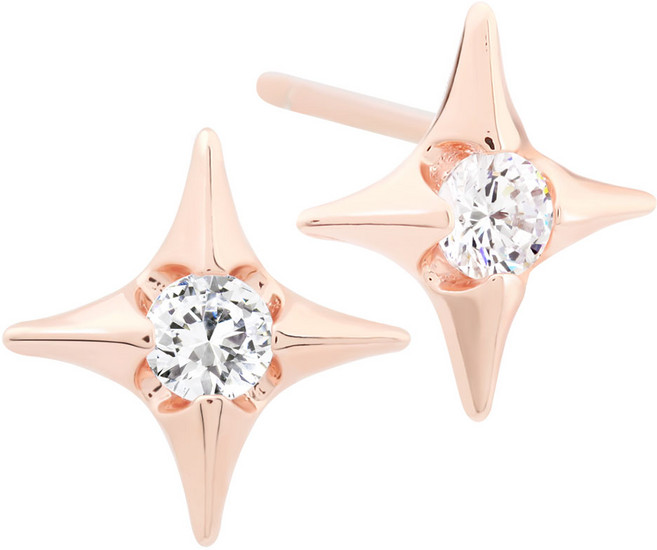 라울스톤 여성용 14K GF 핀 귀걸이 별빛 미니 큐빅 이어링 트윙클 귀걸이 JK364 + 케이스