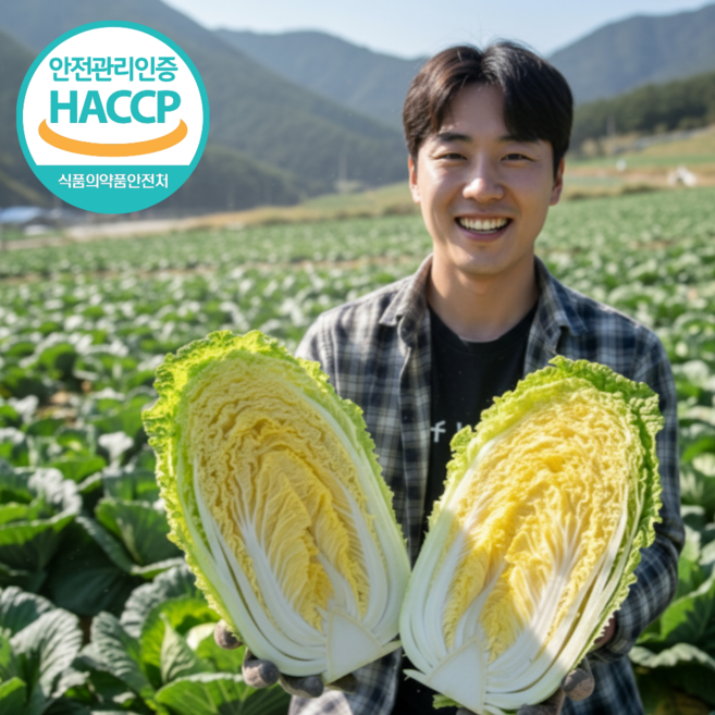 [자연다래] HACCP인증 국산 강원도 고랭지 해남 최상급 절임배추 월화수목 출고 절인배추, **필수추가사항에 희망도착일 입력해주세요**, 1박스, 3kg