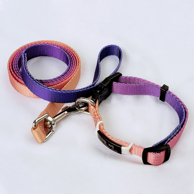 아미펫 강아지 실리콘 네임택 투톤 목줄 + 리드줄 세트, 코랄퍼플믹스, 블랙, 1개