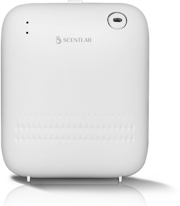 센트랩 벨로라 미니 대용량 스마트 향기 자동 분사 전기 자동 방향제 화장실 소형공간 디퓨저, 1개, 50ml, 화이트(모스앤세이지)