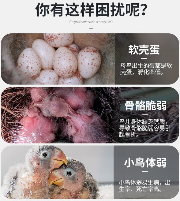 墨魚骨鈣質補充, 1個, 墨魚骨粉30克