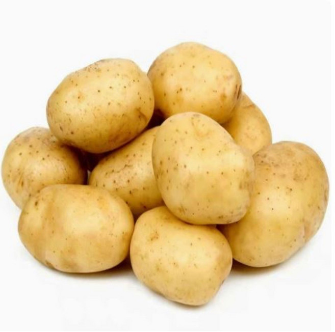 [100박스한정] 산지직송 촉촉담백 햇 수미감자, 1박스, 10kg(대)