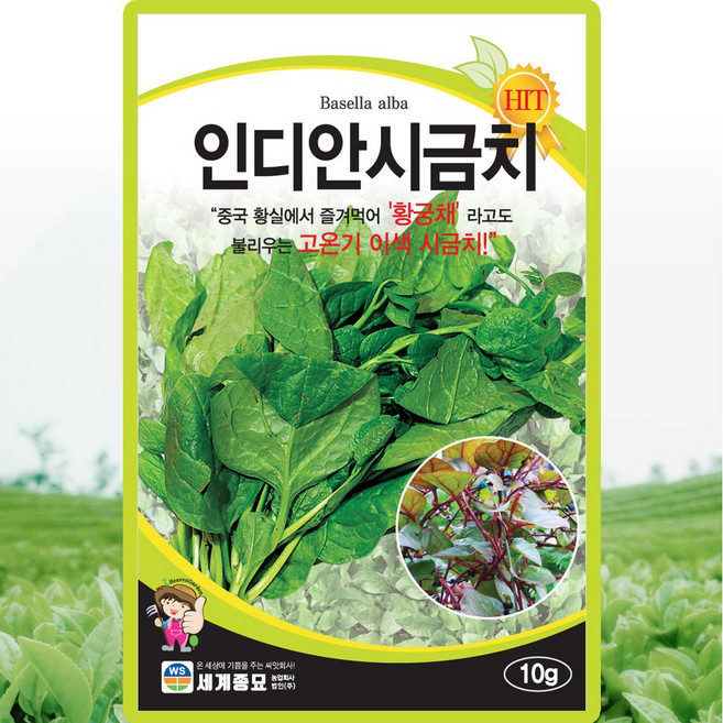 세계종묘 인디안시금치 씨앗 10g 황궁채 이색 시금치씨 종자, 1개