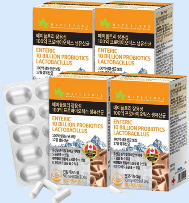 메이플트리 장용성 100억 프로바이오틱스 생유산균, 4박스, 60정