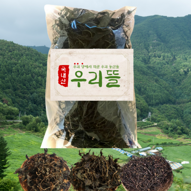 100% 국내산 강원도정선 말린 햇 곤드레 다래순 취나물 고사리 산뽕잎 건나물 건조 국산 나물, 1개, 강원도정선 산뽕잎 100g