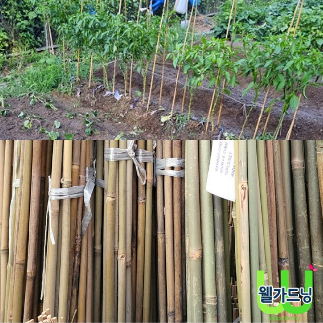 조이가든센터 대나무 단간 지주대- 10개묶음 높이 210cm, 1개