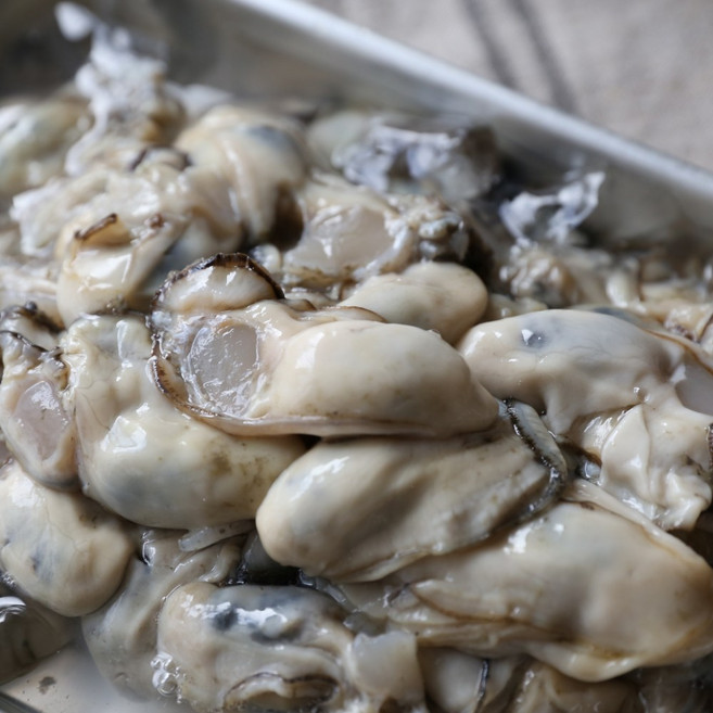 [맛꾼] 산지직송 최상급 통영 생굴 당일조업, 1박스, 통영생굴 1kg