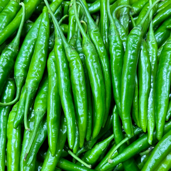 (국내산) 매운고추 햇 청양고추 300g 500g 1kg, 1개