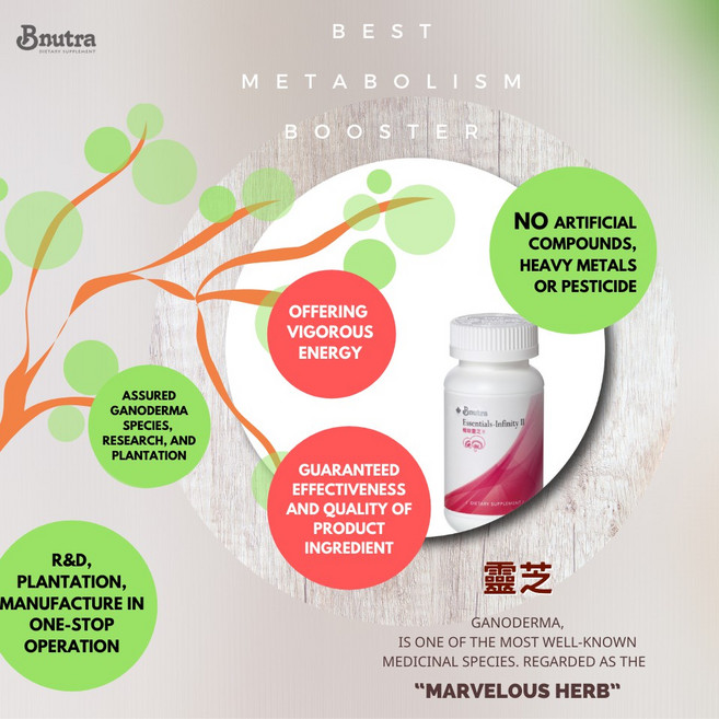 BNUTRA 極能靈芝 Essentials-Infinity II 提升新陳代謝 提供活力能量, 1個