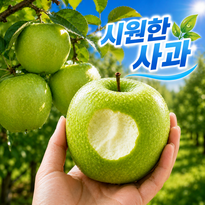프리미엄 아오리 아삭달콤 썸머킹 고당도 산지직송 사과, 1박스, 10kg(5kg*2)