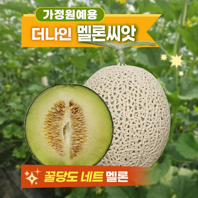 멜론씨앗 PMR더나인 가정원예 텃밭용 꿀당도 네트멜론 10립, 1개