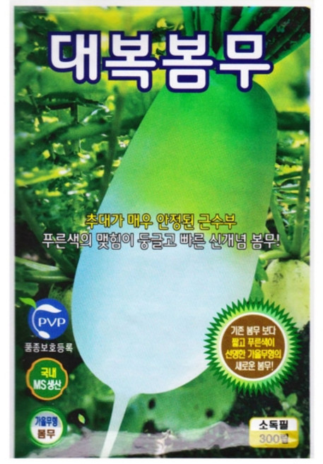 영농사 대복 봄무 씨앗 300립 봄파종 무씨