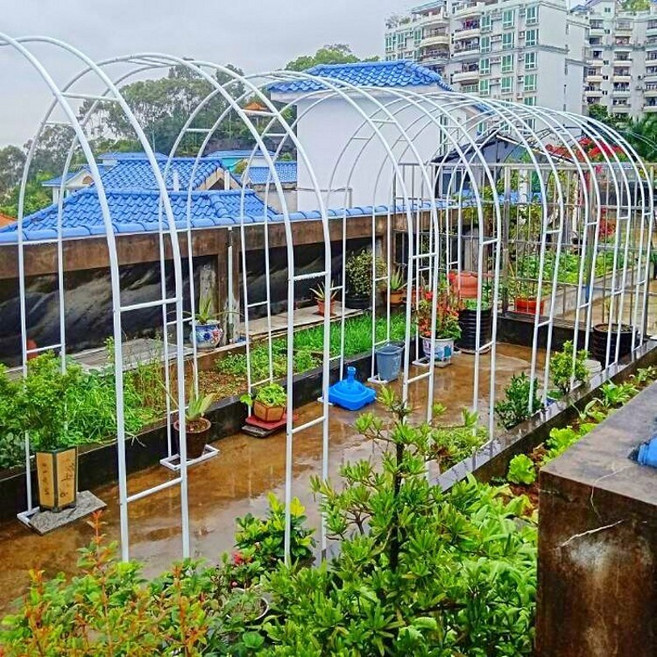 拱門花架 爬藤架CA01 花園月季支架鐵線蓮綠蘿植物架戶外花門庭院裝飾, 1個, 白色
