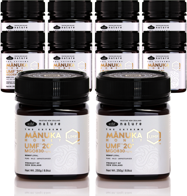 와일드네이처 뉴질랜드 마누카꿀 UMF20+ (MGO830+), 10개, 250g