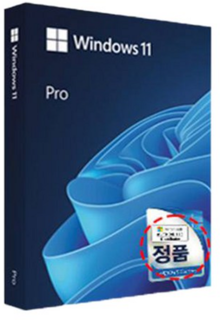 마이크로소프트 Windows 11 Pro FPP 한글, 단품