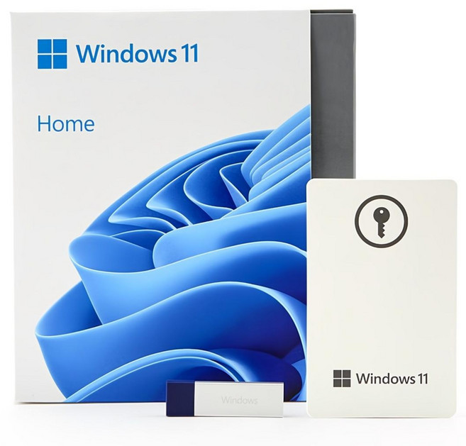 MS Windows 11 Home FPP(USB)