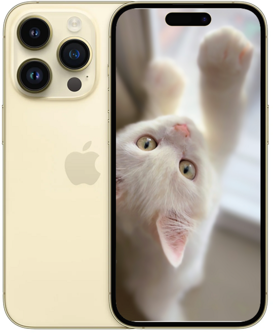 아E폰14 프로 맥스 새상품 미개봉, 128GB, 아이폰 14 Pro Max (골드)