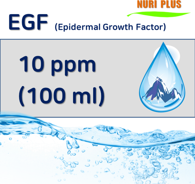 [엔피솝] 이지에프 앰플 EGF 10ppm, 100ml, 1개