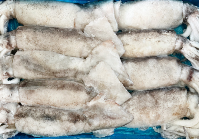 냉동 오징어 3kg 1박스 10미 통오징어 육동오징어 베이트 업소용 식당용, 1개