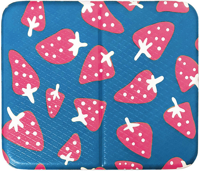 토탈하우스 딸기방석 사우나방석 접이식방석 목욕방석 휴대용방석 1인용 쿠션방석 다용도미니매트, 블루