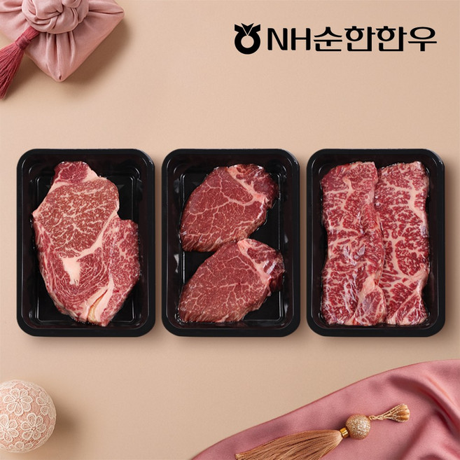 [NH순한한우] 1++(9)등급 한우 구이 선물세트 1호 900g (등심안심채끝), 1개