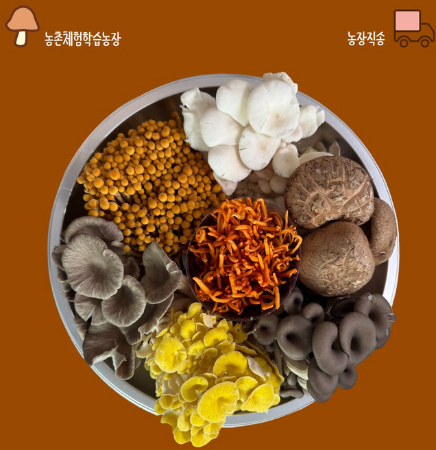 당일수확 강화도 버섯아일랜드 농장 직배송 생버섯, 1박스