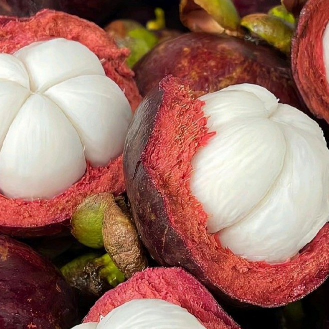 [한정특가] 고당도 태국직송 생 망고스틴, 1박스, 망고스틴 500g