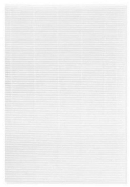 티에스아이 삼성 에어드레서 호환필터 5벌용 DF-FL, 1개