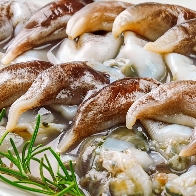 전라도청년 당일손질 여수 손질새조개, 1개, 완전손질 검정 새조개 500g