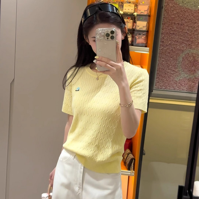 오늘코디 여성 반팔 니트 꽈배기 슬림핏 라운드넥 여름 니트티 데일리 기본 니트 S1040
