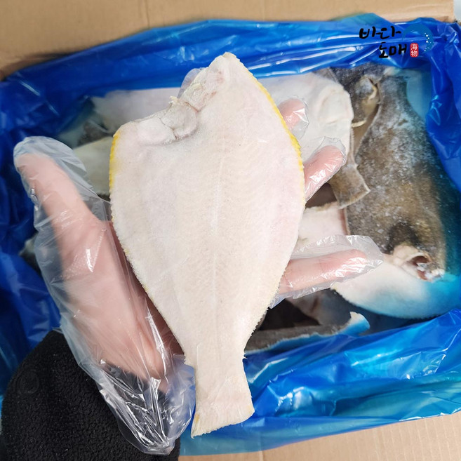 눈꽃엄마 [특대] 살 많은 가자미 깔끔한 손질 구이 신선, 1개, 1.5kg