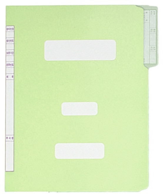 영오 정부화일 A4, 01 연두, 40개
