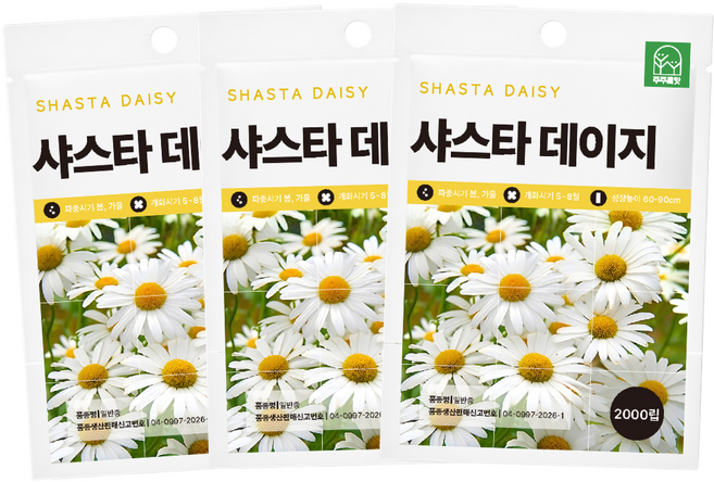 [주주씨앗] 샤스타데이지 씨앗 2000립 3봉세트 꽃씨 꽃씨앗 노지월동 다년생 야생화 봄 가을 파종 작물, 3개
