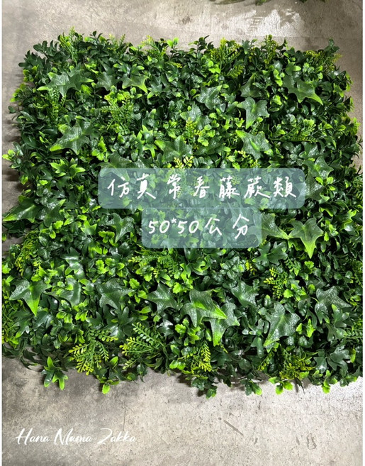 仿真植物牆 50x50公分 蕨類常春藤造景佈置, 1個, 仿真綜合蕨類50*50cm,超取只能2片 超過請用宅配