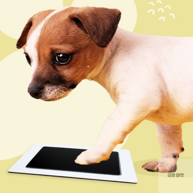 김영마켓 강아지 발도장 스탬프 발도장스탬프, 검