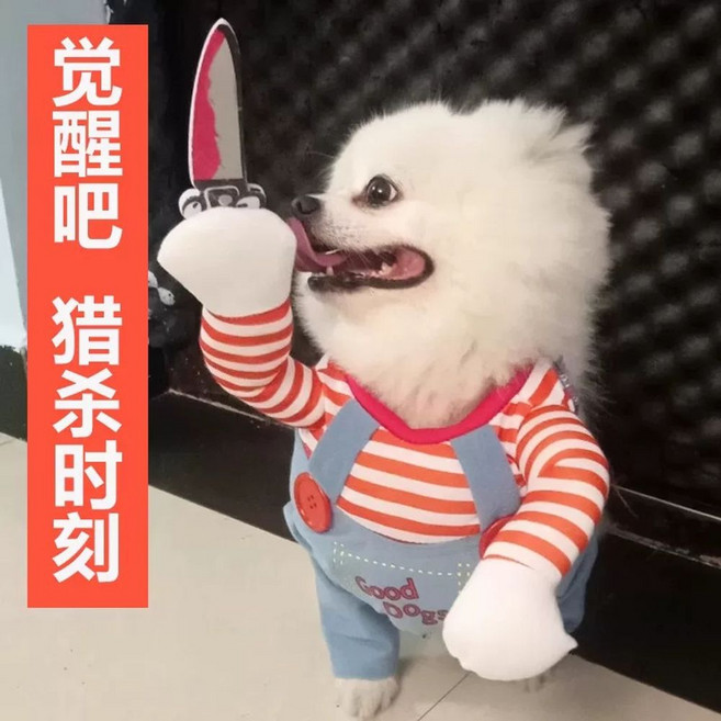 칼든 강아지옷 처키 팔달린 커스텀 댕댕이 옷