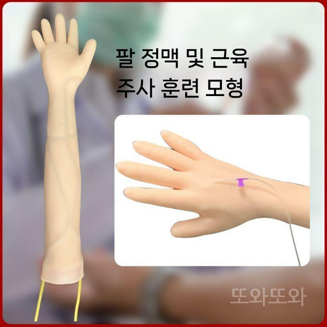 실습모형 IV 셋트 채혈 연습용 실리콘 맨팔 키트, 1. 정맥 주사 팔 모델