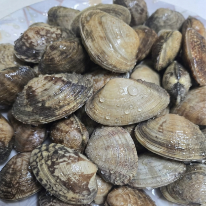 [해감완료] 바로조리 국물맛최고 국산 활바지락, 1박스, 2kg