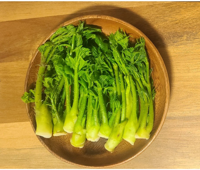 산지직송 향긋한 햇 참두릅 300g 22 900원, 1개