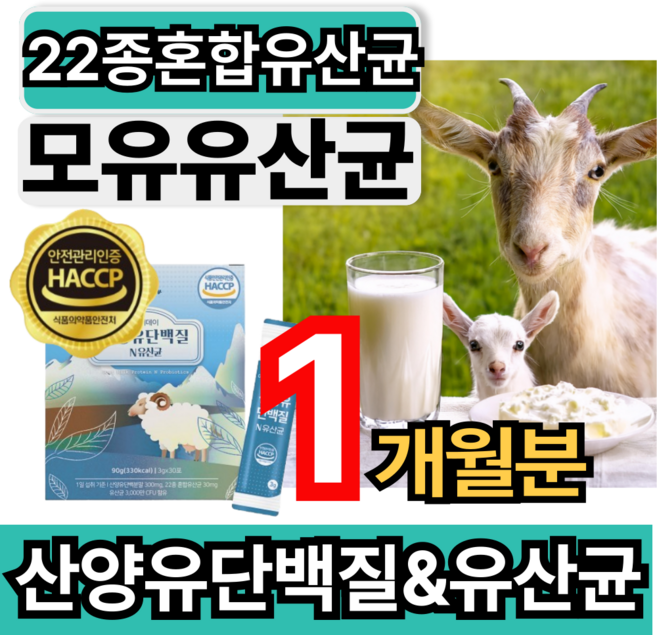 산양유 단백질 프로틴 유산균 모유 유래 유산균 haccp 인증 건강쎈, 1개, 30회분